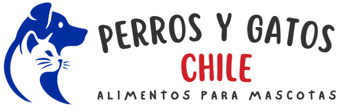 Perros Y Gatos Chile
